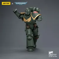 JOYTOY Dark Angels Intercessor with Bolt Rifle, Bolt Pistol and Chainsword - Warhammer 40K - photo 5