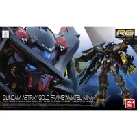 RG 1/144 #24 Gundam Astray Gold Frame Amatsu Mina