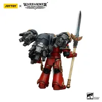 JOYTOY Blood Angels Dawnbreaker Cohort Dawnbreaker Champion - Warhammer 40K - photo 8