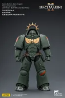 JOYTOY Game Edition Dark Angels Heavy Intercessor with Heavy Bolt Rifle and Bolt Pistol - Warhammer 40K - photo 12