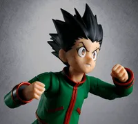TAMASHII NATIONS HUNTER×HUNTER HYSKOA - HUNTER×HUNTER - photo 11