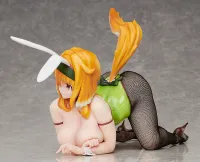 FREEing Roxanne: Bunny Ver. - Harem in the Labyrinth of Another World - photo 4
