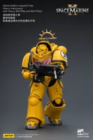 JOYTOY Game Edition Imperial Fists Heavy Intercessor with Heavy Bolt Rifle and Bolt Pistol - Warhammer 40K - photo 16