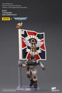 JOYTOY Astra Militarum Cadian Command Squad Veteran with Regimental Standard - Warhammer 40K - photo 5