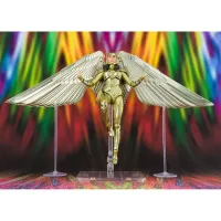 TAMASHII NATIONS Wonder Woman Golden Armor (WW84) Wonder Woman 1984, Bandai Spirits S.H.Figuarts - DC Comics - photo 3