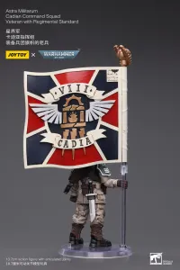 JOYTOY Astra Militarum Cadian Command Squad Veteran with Regimental Standard - Warhammer 40K - photo 3