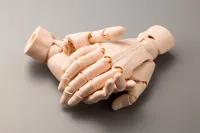 KOTOBUKIYA ARTIST SUPPORT ITEM HAND MODEL/L -PALE ORANGE- - Art & Display - photo 7