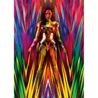 TAMASHII NATIONS Wonder Woman Golden Armor (WW84) Wonder Woman 1984, Bandai Spirits S.H.Figuarts - DC Comics - photo 5