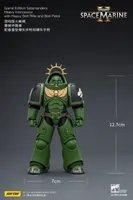 JOYTOY Game Edition Salamanders Heavy Intercessor with Heavy Bolt Rifle and Bolt Pistol - Warhammer 40K - photo 20