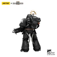 JOYTOY Game Edition Raven Guard Heavy Intercessor with Heavy Bolt Rifle and Bolt Pistol - Warhammer 40K - photo 7