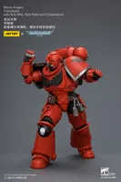 JOYTOY Blood Angels Intercessor with Bolt Rifle, Bolt Pistol and Chainsword - Warhammer 40K - photo 22