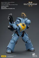 JOYTOY Game Edition Space Wolves Heavy Intercessor with Heavy Bolt Rifle and Bolt Pistol - Warhammer 40K - photo 18