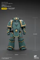 JOYTOY Sons of Horus MK lll Tactical Legionary - Warhammer 40K - photo 21