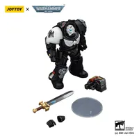 JOYTOY Raven Guard Terminator 1 with Power Sword and Storm Bolter - Warhammer 40K - photo 16