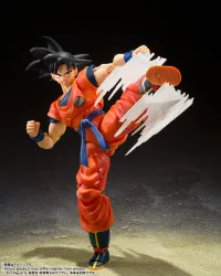 TAMASHII NATIONS Son Goku's Effect Parts Set - Dragon Ball Z - photo 4