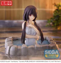 SEGA Thermae Utopia "DATE A LIVE V" "Kurumi Tokisaki" ~Pigtails~ - Date A Live - photo 3