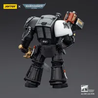 JOYTOY Raven Guard Terminator 1 with Power Sword and Storm Bolter - Warhammer 40K - photo 8