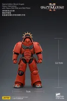 JOYTOY Game Edition Blood Angels Heavy Intercessor with Heavy Bolt Rifle and Bolt Pistol - Warhammer 40K - photo 20