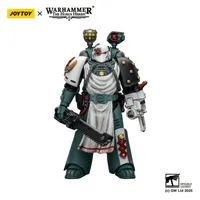 JOYTOY Sons of Horus Legion Apothecary - Warhammer 40K - photo 7