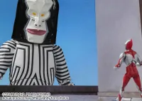 TAMASHII NATIONS DADA <Human Specimens 5 & 6 Ver.> "ULTRAMAN", TAMASHII NATIONS S.H.Figuarts - Ultraman - photo 7