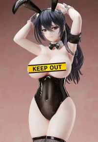 FREEing Aoi - Scale Figures - photo 9
