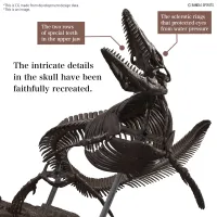 BANDAI HOBBY 1/32 Imaginary Skeleton Mosasaurus - PLANNOSAURUS - photo 4