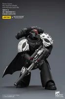 JOYTOY Raven Guard Mor Deythan Shade with Nemesis bolt rifle - Warhammer 40K - photo 21