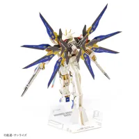 Azone si-gu-mi PRO ZGMF-X20A Strike Freedom Gundam - Mobile Suit Gundam SEED Destiny - photo 9