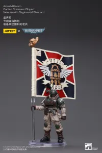 JOYTOY Astra Militarum Cadian Command Squad Veteran with Regimental Standard - Warhammer 40K - photo 2
