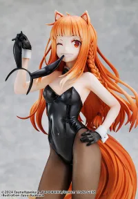 KADOKAWA Spice and Wolf: MERCHANT MEETS THE WISE WOLF Holo Light Novel bunny ver. illustration by Jyuu Ayakura - Spice and Wolf - photo 7
