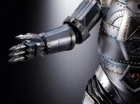 TAMASHII NATIONS MECHAGODZILLA 1974 "Godzilla vs Mechagodzilla", TAMASHII NATIONS DX SOUL OF CHOGOKIN - Godzilla - photo 10
