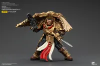 JOYTOY Legio Custodes Custodian Venatari Squad Venatari with Kenetic Destroyer 1 - Warhammer 40K - photo 9