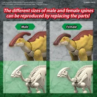 BANDAI HOBBY PLANNOSAURUS Parasaurolophus - PLANNOSAURUS - photo 3