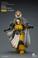 JOYTOY Imperial Fists Librarian Consul with Force Axe and Bolt Pistol - Warhammer 40K - photo 9