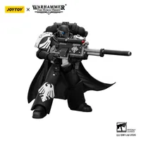 JOYTOY Raven Guard Mor Deythan with Nemesis bolt rifle - Warhammer 40K - photo 10