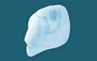 KOTOBUKIYA Silicone Tray - 10th Angel - Neon Genesis Evangelion - photo 4