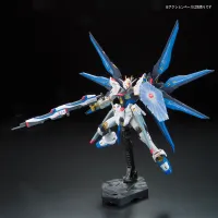 BANDAI HOBBY RG 1/144 #14 ZGMF-X20A STRIKE FREEDOM GUNDAM - Mobile Suit Gundam SEED Destiny - photo 9