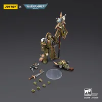 JOYTOY Death Guard Plague Marine Icon bearer with Boltgun and Plague knife - Warhammer 40K - photo 13