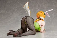 FREEing Roxanne: Bunny Ver. - Harem in the Labyrinth of Another World - photo 7