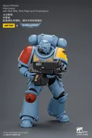 JOYTOY Space Wolves Intercessor with Bolt Rifle, Bolt Pistol and Chainsword - Warhammer 40K - photo 20