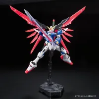 BANDAI HOBBY RG 1/144 #11 Destiny Gundam - Mobile Suit Gundam SEED Destiny - photo 10
