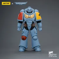 JOYTOY Space Wolves Intercessor with Bolt Rifle, Bolt Pistol and Chainsword - Warhammer 40K - photo 1