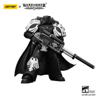 JOYTOY Raven Guard Mor Deythan with Nemesis bolt rifle - Warhammer 40K - photo 9