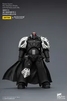 JOYTOY Raven Guard Mor Deythan Shade with Nemesis bolt rifle - Warhammer 40K - photo 14