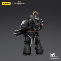 JOYTOY Game Edition Raven Guard Heavy Intercessor with Heavy Bolt Rifle and Bolt Pistol - Warhammer 40K - photo 2