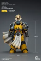 JOYTOY Imperial Fists Librarian Consul with Force Axe and Bolt Pistol - Warhammer 40K - photo 11