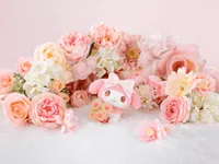 TAMASHII NATIONS My Melody -Pastel Colors ver.- - Sanrio - photo 5