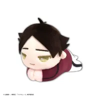 MAX LIMITED Haikyu!! HUG CHARACTER COLLECTION5 (6pc per box) - Haikyu!! - photo 4