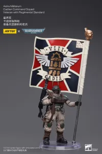 JOYTOY Astra Militarum Cadian Command Squad Veteran with Regimental Standard - Warhammer 40K - photo 1