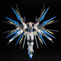 BANDAI HOBBY RG 1/144 #14 ZGMF-X20A STRIKE FREEDOM GUNDAM - Mobile Suit Gundam SEED Destiny - photo 14